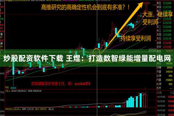 炒股配资软件下载 王煜：打造数智绿能增量配电网