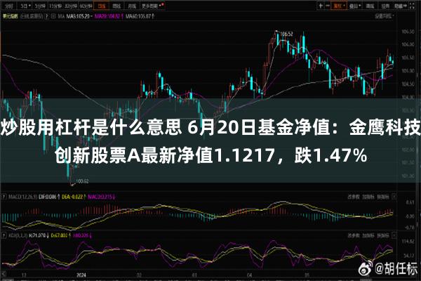 炒股用杠杆是什么意思 6月20日基金净值：金鹰科技创新股票A最新净值1.1217，跌1.47%