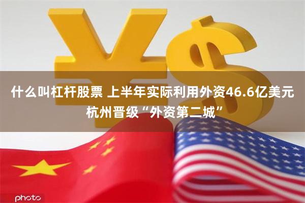 什么叫杠杆股票 上半年实际利用外资46.6亿美元 杭州晋级“外资第二城”