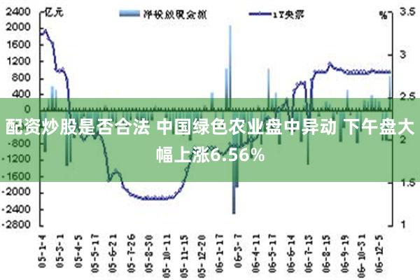 配资炒股是否合法 中国绿色农业盘中异动 下午盘大幅上涨6.56%