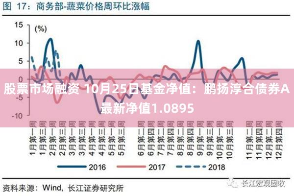 股票市场融资 10月25日基金净值：鹏扬淳合债券A最新净值1.0895