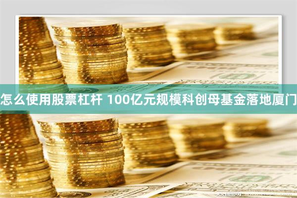 怎么使用股票杠杆 100亿元规模科创母基金落地厦门