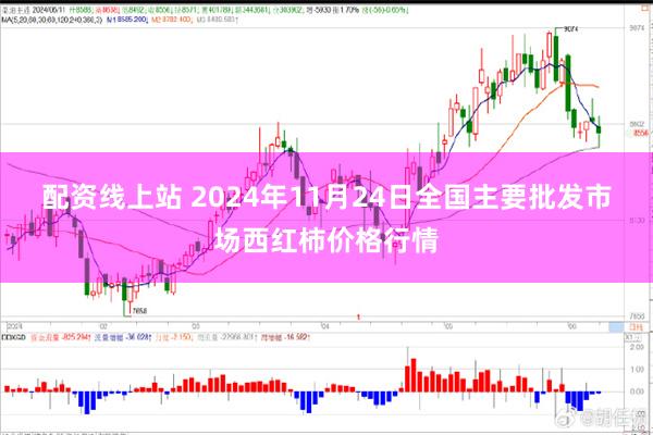 配资线上站 2024年11月24日全国主要批发市场西红柿价格行情