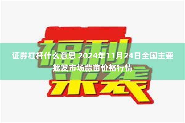 证券杠杆什么意思 2024年11月24日全国主要批发市场蒜苗价格行情